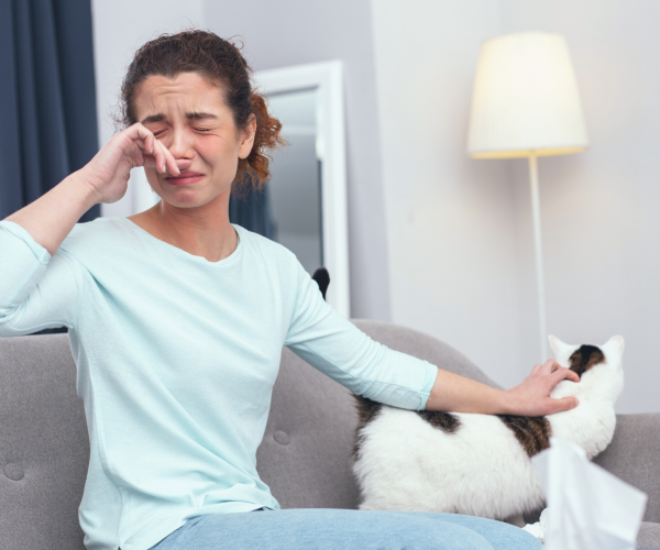 alergias-podem-piorar-com-o-isolamento-social